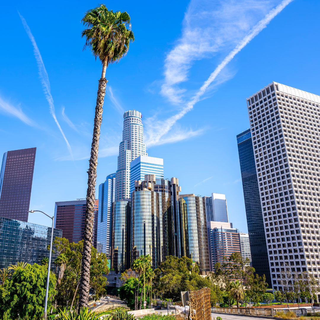 The Los Angeles Skyline